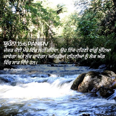 Picture 02 - ਯੂਹੰਨਾ 15:6 PANIRV - ਜੇਕਰ ਕੋਈ ਮੇਰੇ ਵਿੱਚ - Bible Verse Picture