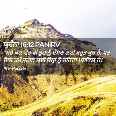 Picture 02 - ਯੂਹੰਨਾ 16:12 PANIRV - “ਮੇਰੇ ਕੋਲ ਹੋਰ ਵੀ - Bible Verse Picture