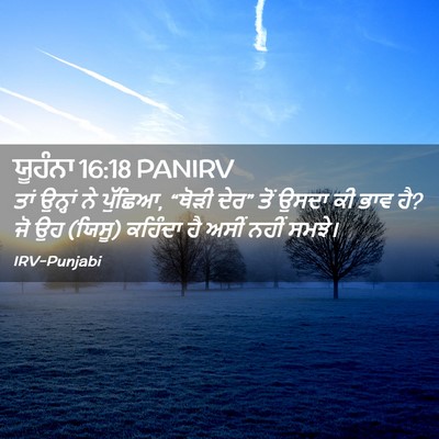 Picture 02 - ਯੂਹੰਨਾ 16:18 PANIRV - ਤਾਂ ਉਨ੍ਹਾਂ ਨੇ - Bible Verse Picture