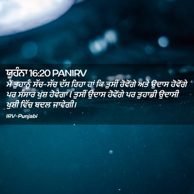 Picture 02 - ਯੂਹੰਨਾ 16:20 PANIRV - ਮੈਂ ਤੁਹਾਨੂੰ - Bible Verse Picture