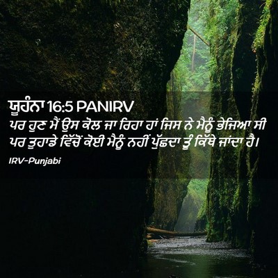 Picture 02 - ਯੂਹੰਨਾ 16:5 PANIRV - ਪਰ ਹੁਣ ਮੈਂ ਉਸ ਕੋਲ - Bible Verse Picture
