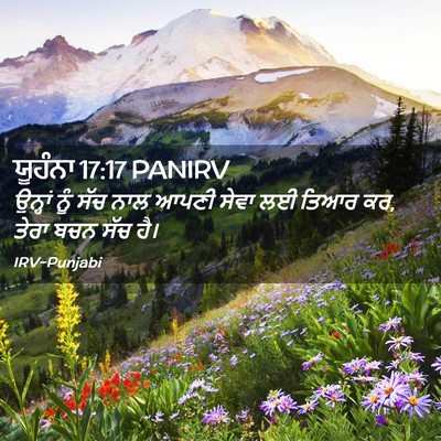 Picture 02 - ਯੂਹੰਨਾ 17:17 PANIRV - ਉਨ੍ਹਾਂ ਨੂੰ ਸੱਚ ਨਾਲ - Bible Verse Picture