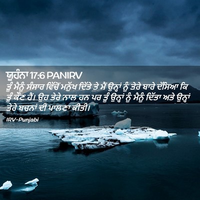 Picture 02 - ਯੂਹੰਨਾ 17:6 PANIRV - ਤੂੰ ਮੈਨੂੰ ਸੰਸਾਰ - Bible Verse Picture