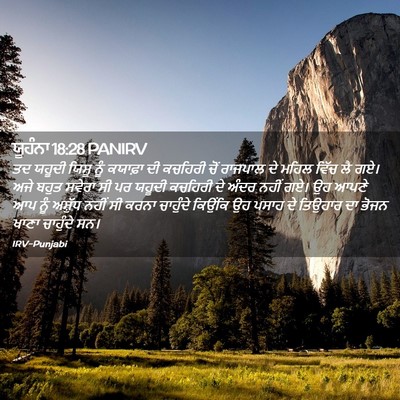 Picture 02 - ਯੂਹੰਨਾ 18:28 PANIRV - ਤਦ ਯਹੂਦੀ ਯਿਸੂ ਨੂੰ - Bible Verse Picture