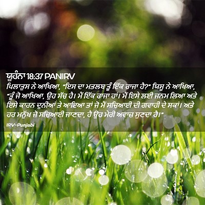 Picture 02 - ਯੂਹੰਨਾ 18:37 PANIRV - ਪਿਲਾਤੁਸ ਨੇ ਆਖਿਆ, - Bible Verse Picture