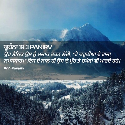 Picture 02 - ਯੂਹੰਨਾ 19:3 PANIRV - ਉਹ ਸੈਨਿਕ ਉਸ ਨੂੰ - Bible Verse Picture
