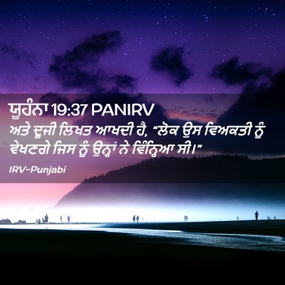 Picture 02 - ਯੂਹੰਨਾ 19:37 PANIRV - ਅਤੇ ਦੂਜੀ ਲਿਖਤ ਆਖਦੀ - Bible Verse Picture