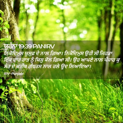 Picture 02 - ਯੂਹੰਨਾ 19:39 PANIRV - ਨਿਕੋਦਿਮੁਸ ਯੂਸੁਫ਼ - Bible Verse Picture
