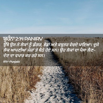 Picture 02 - ਯੂਹੰਨਾ 2:14 PANIRV - ਉੱਥੇ ਉਸ ਨੇ ਲੋਕਾਂ - Bible Verse Picture