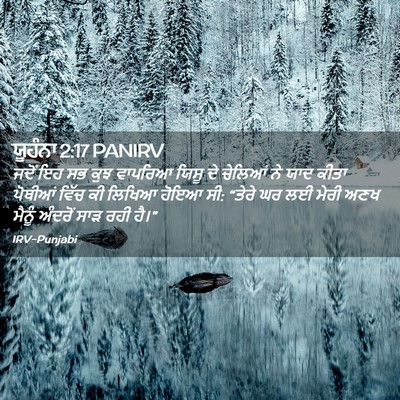 Picture 02 - ਯੂਹੰਨਾ 2:17 PANIRV - ਜਦੋਂ ਇਹ ਸਭ ਕੁਝ - Bible Verse Picture