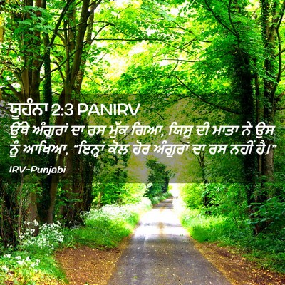 Picture 02 - ਯੂਹੰਨਾ 2:3 PANIRV - ਉੱਥੇ ਅੰਗੂਰਾਂ ਦਾ ਰਸ - Bible Verse Picture