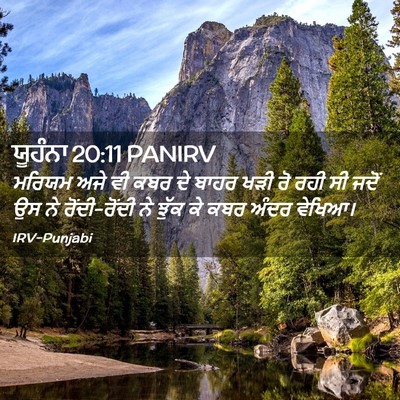 Picture 02 - ਯੂਹੰਨਾ 20:11 PANIRV - ਮਰਿਯਮ ਅਜੇ ਵੀ ਕਬਰ ਦੇ - Bible Verse Picture