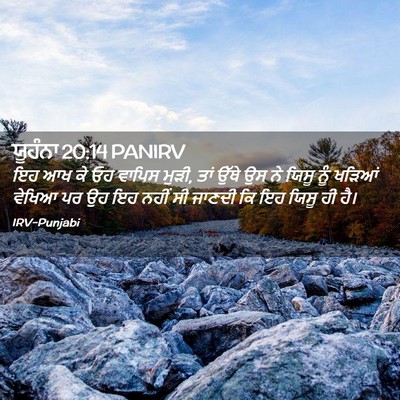 Picture 02 - ਯੂਹੰਨਾ 20:14 PANIRV - ਇਹ ਆਖ ਕੇ ਓਹ ਵਾਪਿਸ - Bible Verse Picture