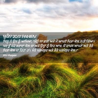 Picture 02 - ਯੂਹੰਨਾ 20:17 PANIRV - ਯਿਸੂ ਨੇ ਉਸ ਨੂੰ - Bible Verse Picture
