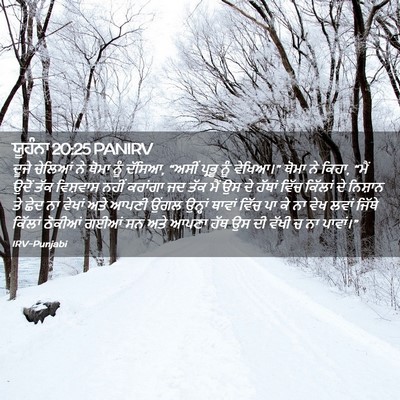 Picture 02 - ਯੂਹੰਨਾ 20:25 PANIRV - ਦੂਜੇ ਚੇਲਿਆਂ ਨੇ - Bible Verse Picture