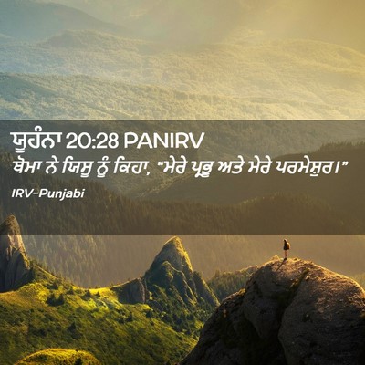 Picture 02 - ਯੂਹੰਨਾ 20:28 PANIRV - ਥੋਮਾ ਨੇ ਯਿਸੂ ਨੂੰ - Bible Verse Picture