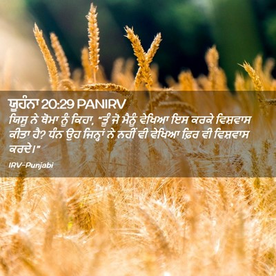 Picture 02 - ਯੂਹੰਨਾ 20:29 PANIRV - ਯਿਸੂ ਨੇ ਥੋਮਾ ਨੂੰ - Bible Verse Picture