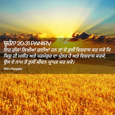 Picture 02 - ਯੂਹੰਨਾ 20:31 PANIRV - ਇਹ ਗੱਲਾਂ ਲਿਖੀਆਂ - Bible Verse Picture