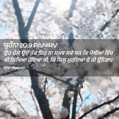 Picture 02 - ਯੂਹੰਨਾ 20:9 PANIRV - ਉਹ ਚੇਲੇ ਉਦੋਂ ਤੱਕ ਇਹ - Bible Verse Picture