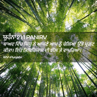 Picture 02 - ਯੂਹੰਨਾ 21:1 PANIRV - ਬਾਅਦ ਵਿੱਚ ਯਿਸੂ ਨੇ - Bible Verse Picture