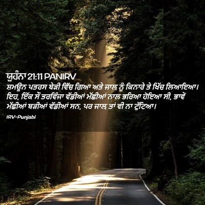 Picture 02 - ਯੂਹੰਨਾ 21:11 PANIRV - ਸ਼ਮਊਨ ਪਤਰਸ ਬੇੜੀ - Bible Verse Picture