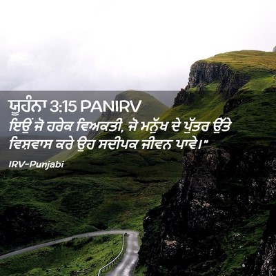 Picture 02 - ਯੂਹੰਨਾ 3:15 PANIRV - ਇਉਂ ਜੋ ਹਰੇਕ ਵਿਅਕਤੀ, - Bible Verse Picture