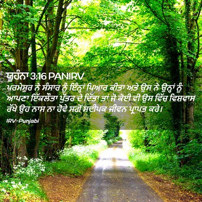 Picture 02 - ਯੂਹੰਨਾ 3:16 PANIRV - ਪਰਮੇਸ਼ੁਰ ਨੇ ਸੰਸਾਰ - Bible Verse Picture