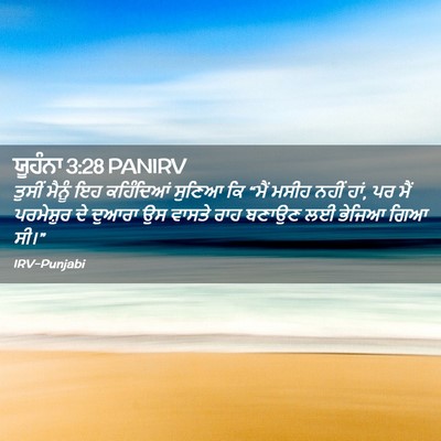 Picture 02 - ਯੂਹੰਨਾ 3:28 PANIRV - ਤੁਸੀਂ ਮੈਨੂੰ ਇਹ - Bible Verse Picture