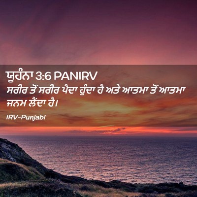 Picture 02 - ਯੂਹੰਨਾ 3:6 PANIRV - ਸਰੀਰ ਤੋਂ ਸਰੀਰ ਪੈਦਾ - Bible Verse Picture