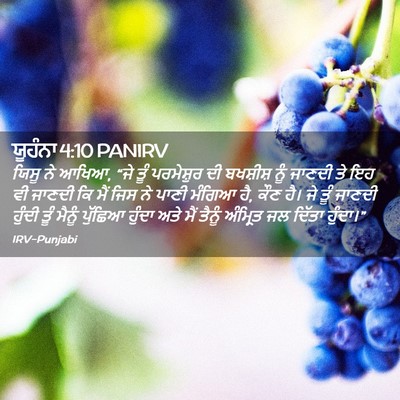 Picture 02 - ਯੂਹੰਨਾ 4:10 PANIRV - ਯਿਸੂ ਨੇ ਆਖਿਆ, “ਜੇ - Bible Verse Picture