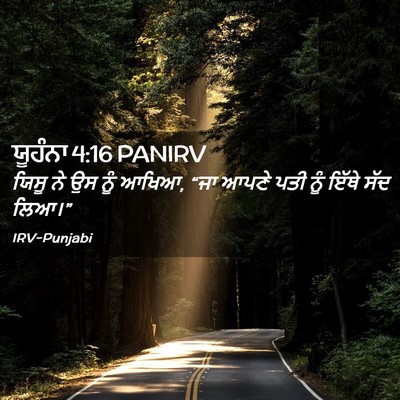 Picture 02 - ਯੂਹੰਨਾ 4:16 PANIRV - ਯਿਸੂ ਨੇ ਉਸ ਨੂੰ - Bible Verse Picture