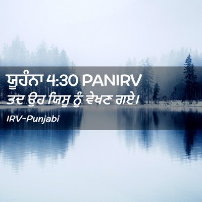 Picture 02 - ਯੂਹੰਨਾ 4:30 PANIRV - ਤਦ ਉਹ ਯਿਸੂ ਨੂੰ ਵੇਖਣ - Bible Verse Picture