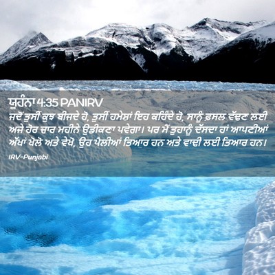 Picture 02 - ਯੂਹੰਨਾ 4:35 PANIRV - ਜਦੋਂ ਤੁਸੀਂ ਕੁਝ - Bible Verse Picture