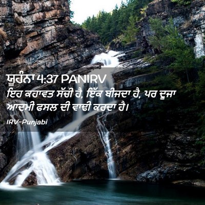 Picture 02 - ਯੂਹੰਨਾ 4:37 PANIRV - ਇਹ ਕਹਾਵਤ ਸੱਚੀ ਹੈ, - Bible Verse Picture
