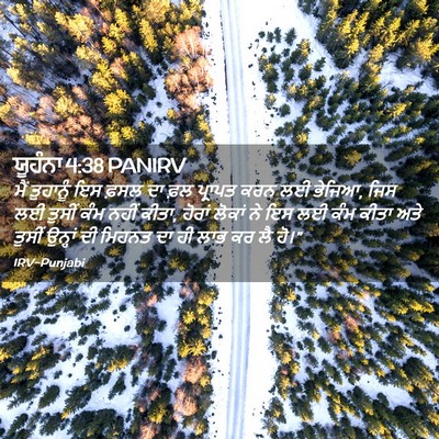 Picture 02 - ਯੂਹੰਨਾ 4:38 PANIRV - ਮੈਂ ਤੁਹਾਨੂੰ ਇਸ - Bible Verse Picture