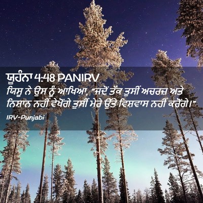 Picture 02 - ਯੂਹੰਨਾ 4:48 PANIRV - ਯਿਸੂ ਨੇ ਉਸ ਨੂੰ - Bible Verse Picture