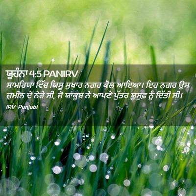 Picture 02 - ਯੂਹੰਨਾ 4:5 PANIRV - ਸਾਮਰਿਯਾ ਵਿੱਚ ਯਿਸੂ - Bible Verse Picture