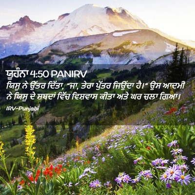 Picture 02 - ਯੂਹੰਨਾ 4:50 PANIRV - ਯਿਸੂ ਨੇ ਉੱਤਰ ਦਿੱਤਾ, - Bible Verse Picture