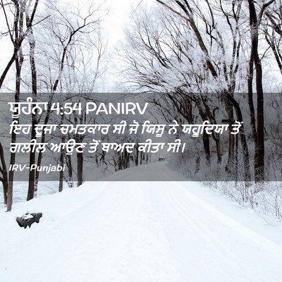 Picture 02 - ਯੂਹੰਨਾ 4:54 PANIRV - ਇਹ ਦੂਜਾ ਚਮਤਕਾਰ ਸੀ - Bible Verse Picture