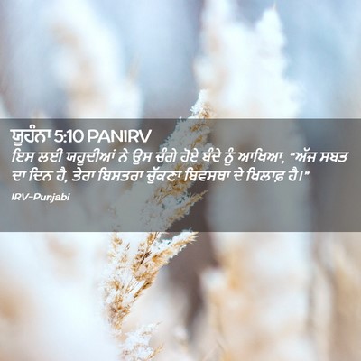 Picture 02 - ਯੂਹੰਨਾ 5:10 PANIRV - ਇਸ ਲਈ ਯਹੂਦੀਆਂ ਨੇ ਉਸ - Bible Verse Picture