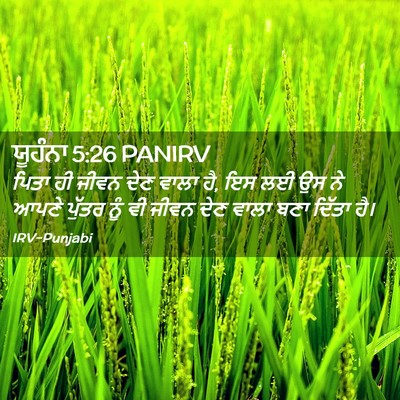 Picture 02 - ਯੂਹੰਨਾ 5:26 PANIRV - ਪਿਤਾ ਹੀ ਜੀਵਨ ਦੇਣ - Bible Verse Picture