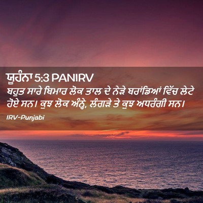Picture 02 - ਯੂਹੰਨਾ 5:3 PANIRV - ਬਹੁਤ ਸਾਰੇ ਬਿਮਾਰ - Bible Verse Picture