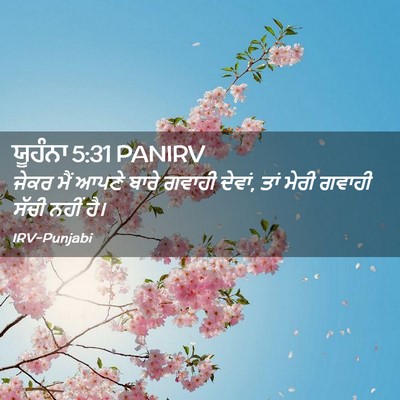 Picture 02 - ਯੂਹੰਨਾ 5:31 PANIRV - ਜੇਕਰ ਮੈਂ ਆਪਣੇ ਬਾਰੇ - Bible Verse Picture