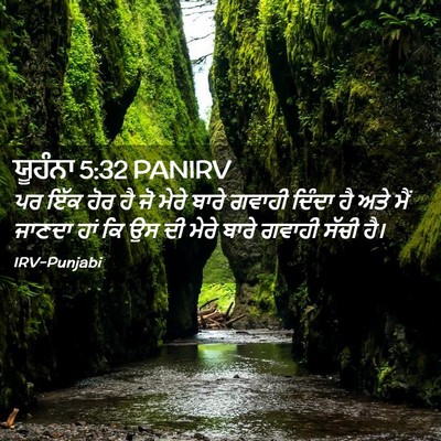 Picture 02 - ਯੂਹੰਨਾ 5:32 PANIRV - ਪਰ ਇੱਕ ਹੋਰ ਹੈ ਜੋ - Bible Verse Picture