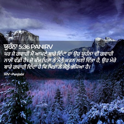 Picture 02 - ਯੂਹੰਨਾ 5:36 PANIRV - ਪਰ ਜੋ ਗਵਾਹੀ ਮੈਂ - Bible Verse Picture