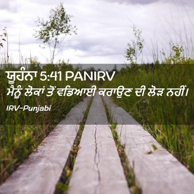 Picture 02 - ਯੂਹੰਨਾ 5:41 PANIRV - ਮੈਨੂੰ ਲੋਕਾਂ ਤੋਂ - Bible Verse Picture