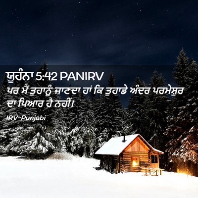 Picture 02 - ਯੂਹੰਨਾ 5:42 PANIRV - ਪਰ ਮੈਂ ਤੁਹਾਨੂੰ - Bible Verse Picture
