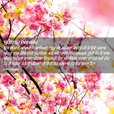 Picture 02 - ਯੂਹੰਨਾ 5:7 PANIRV - ਉਸ ਬਿਮਾਰ ਆਦਮੀ ਨੇ - Bible Verse Picture