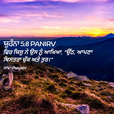 Picture 02 - ਯੂਹੰਨਾ 5:8 PANIRV - ਫਿਰ ਯਿਸੂ ਨੇ ਉਸ ਨੂੰ - Bible Verse Picture