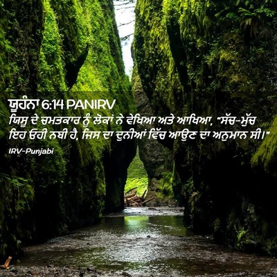 Picture 02 - ਯੂਹੰਨਾ 6:14 PANIRV - ਯਿਸੂ ਦੇ ਚਮਤਕਾਰ ਨੂੰ - Bible Verse Picture